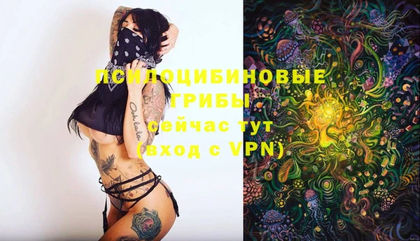 гидропоника Абаза