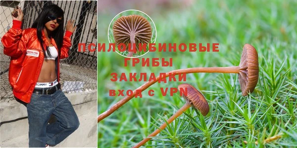 гидропоника Абаза