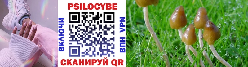 Галлюциногенные грибы Psilocybine cubensis  купить наркоту  Вытегра 